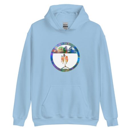 unisex-heavy-blend-hoodie-light-blue-front-63900585bb06d.jpg